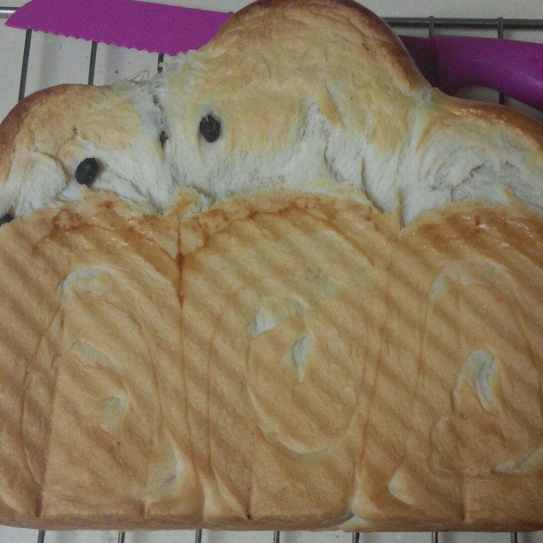 【北海道吐司】体验经典-妃娟100%中种，冷藏冰种的美味