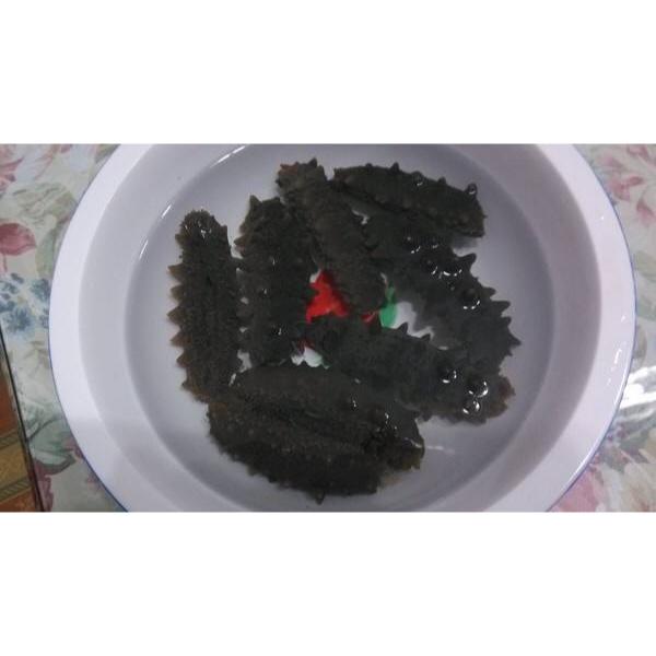 【小森妈妈菜谱】最正确的海参泡发方法