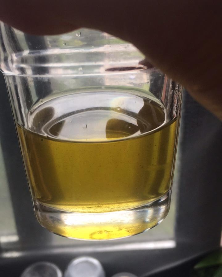 熬一大罐葱油