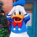 学烧饭的小绿鸭