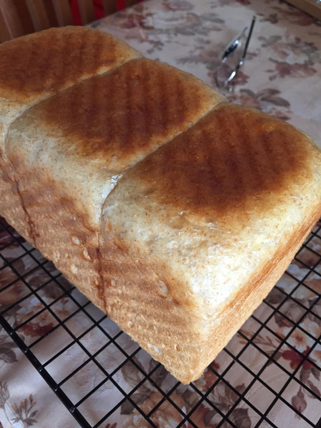 全麦吐司(100%）