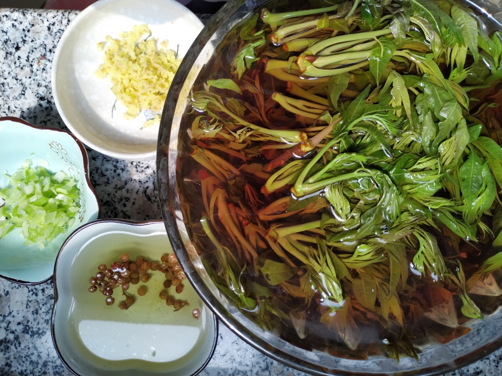 香椿肉饺子☜超简单的做法