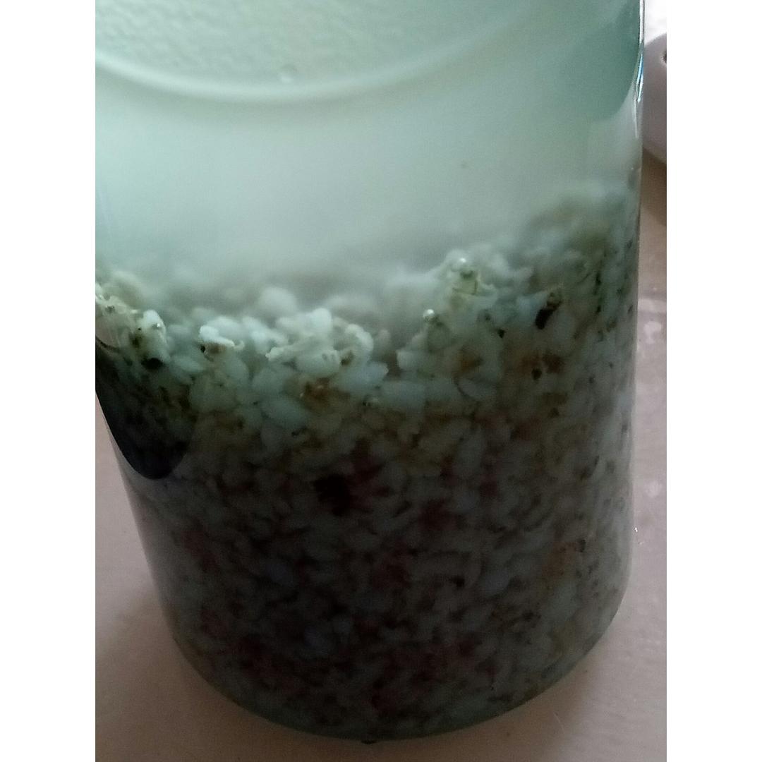 过完节来刮刮油：糙米茶