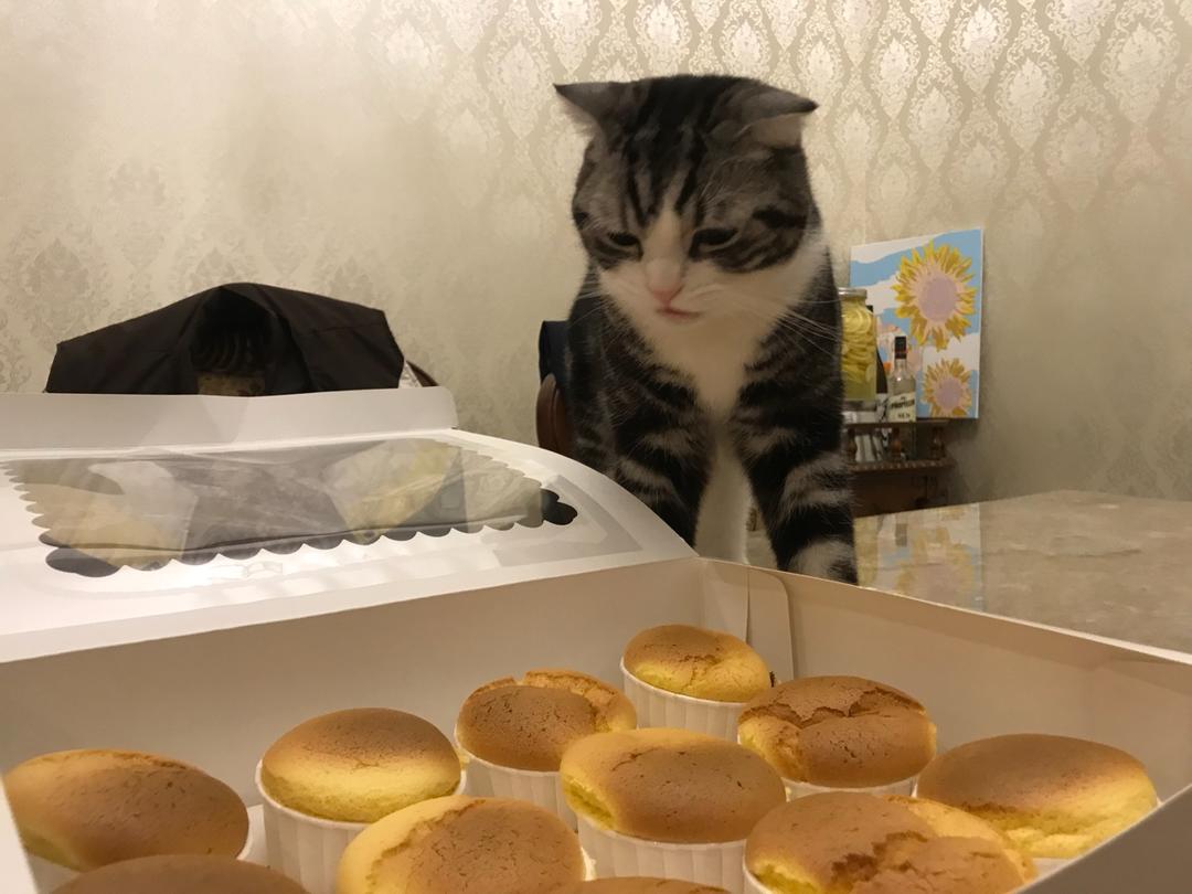 木糖醇戚风