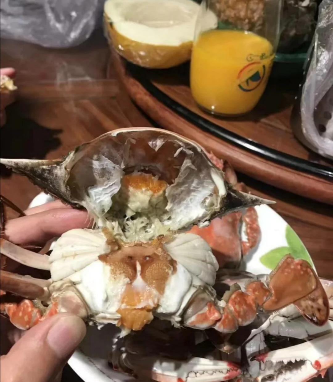 请客不发愁❗️姜葱炒蟹，有手就会～