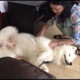 summer只做饭不洗碗