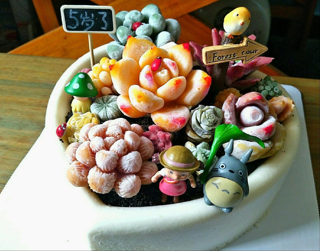 堂妈的多肉蛋糕