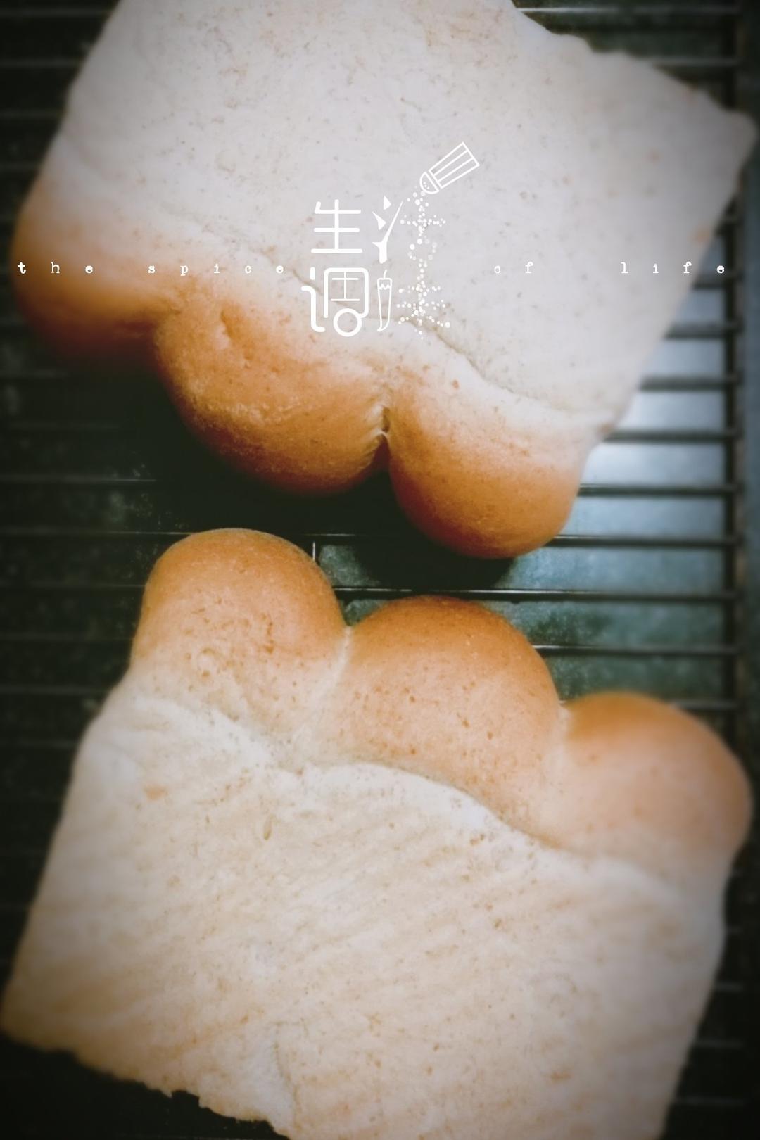 全麦吐司