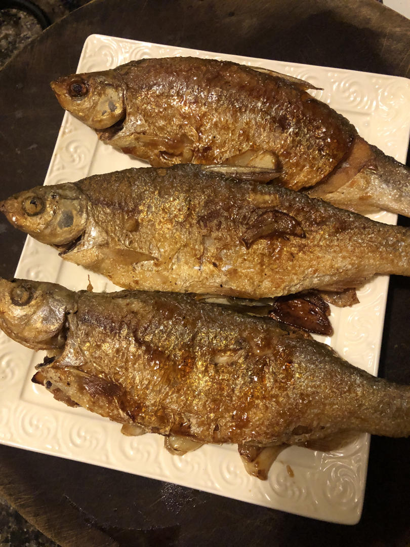 香煎一点红(美国红鱼)的全部作品