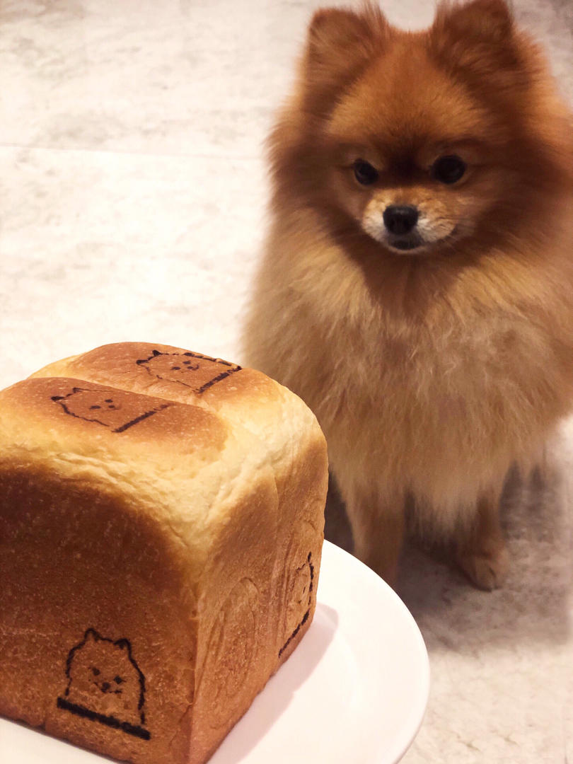 zz的蛋糕和面包