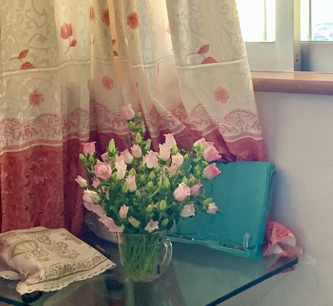 花花世界