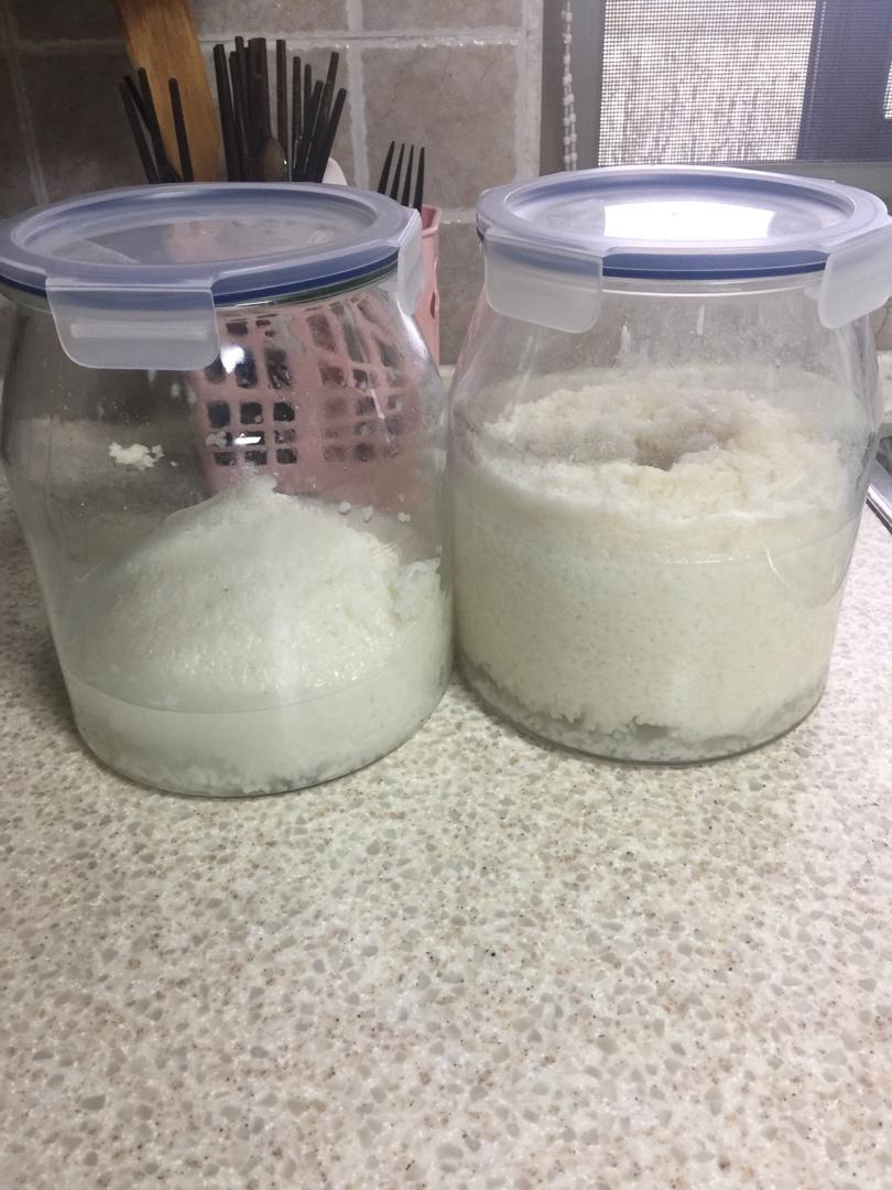 酒酿、米酒做法精细版