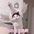 手机用户8673_wy5z