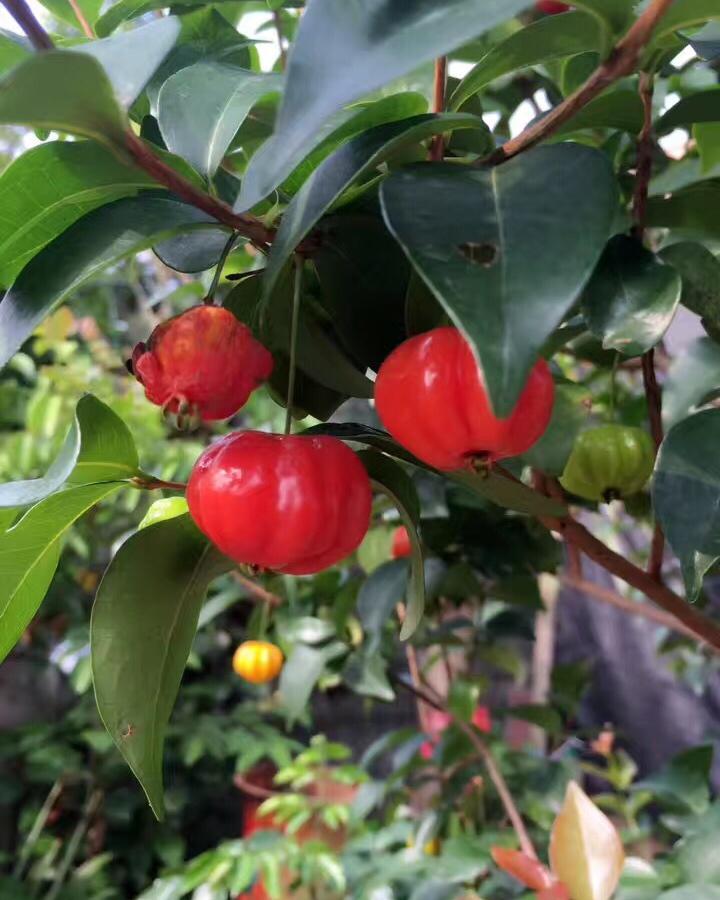 默小暖做的2017年12月29日