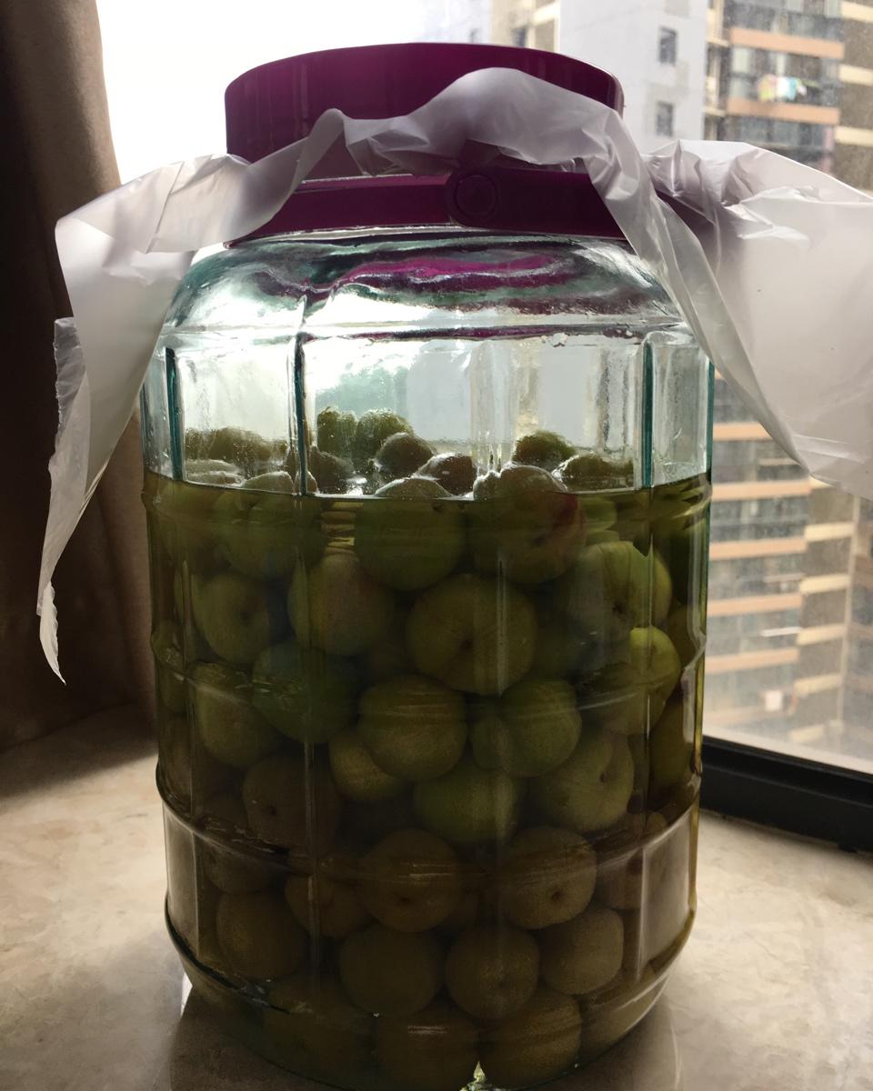 双色双味李子酒