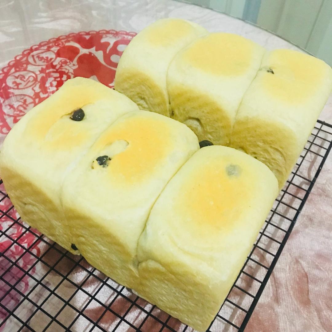 夺命软吐司(๑´ڡ`๑)超软拉丝极速方便的一次发酵吐司