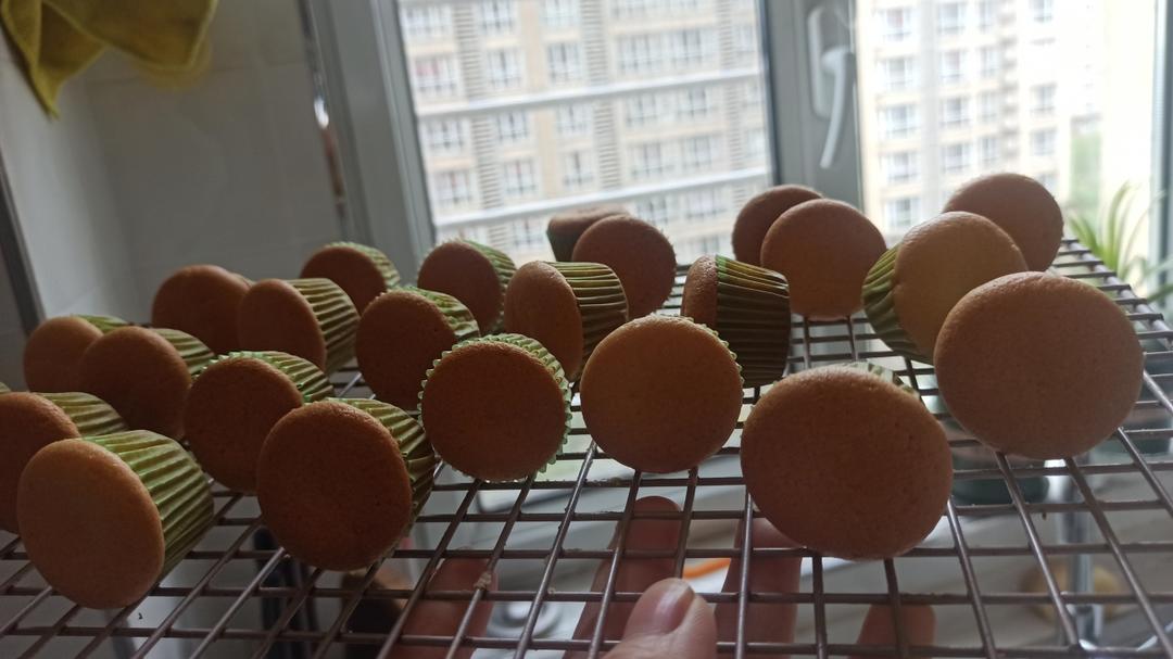 戚风小蛋糕24连