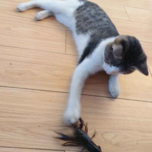 小眼睛女人_48ry