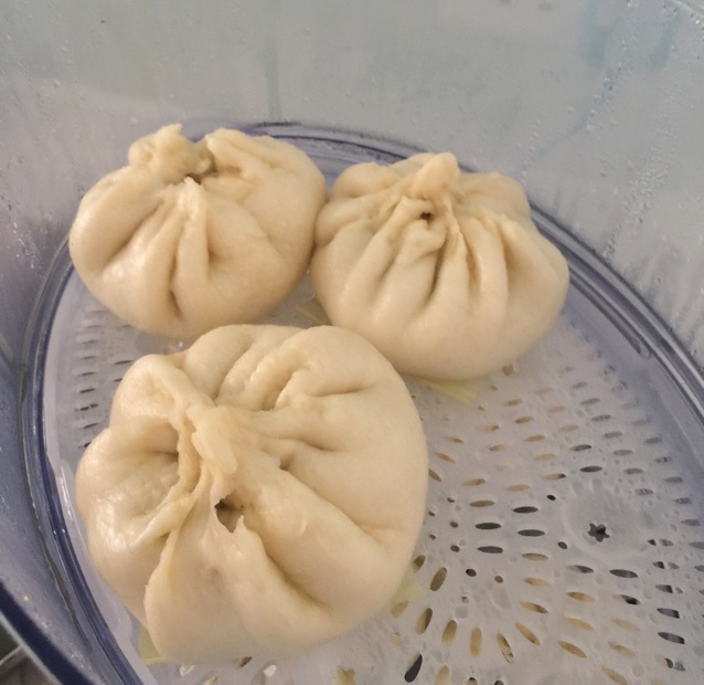堂妈教你山菜鲜肉大包子
