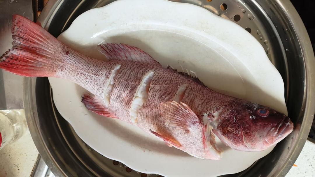 清蒸东星斑