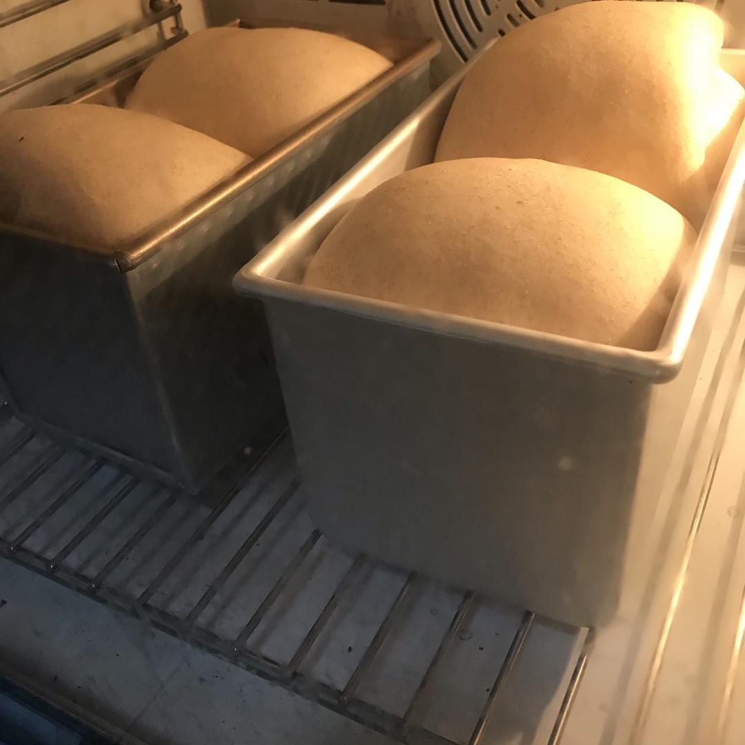 软到不敢捧起的牛奶甜吐司