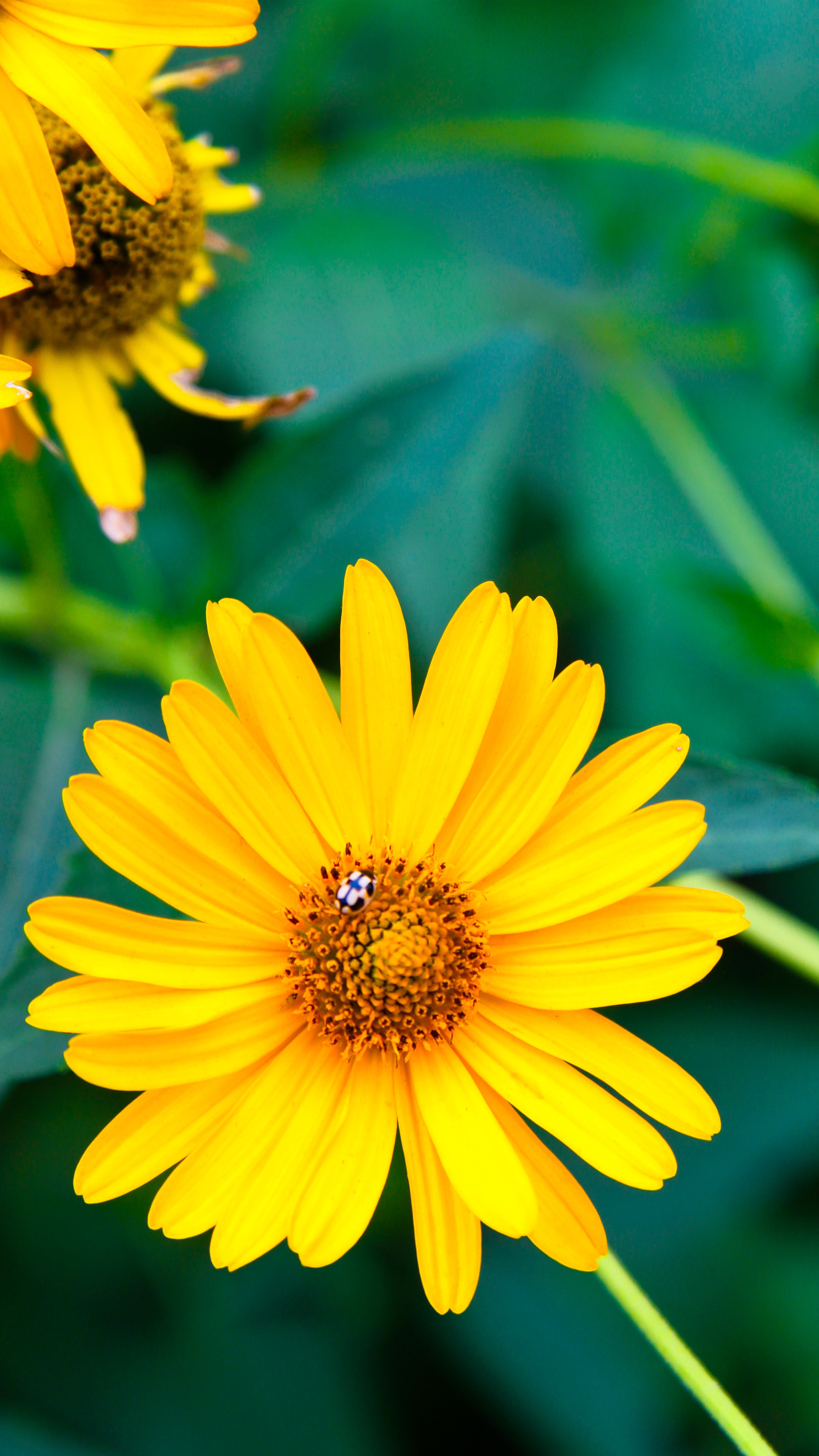 ___如果云知道-7