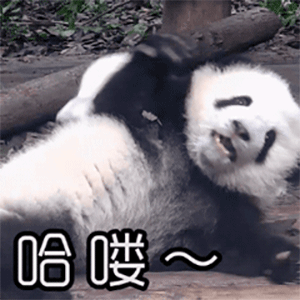 能消灭一锅米饭的红烧豆腐