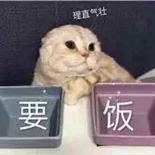 教堂猫的厨房