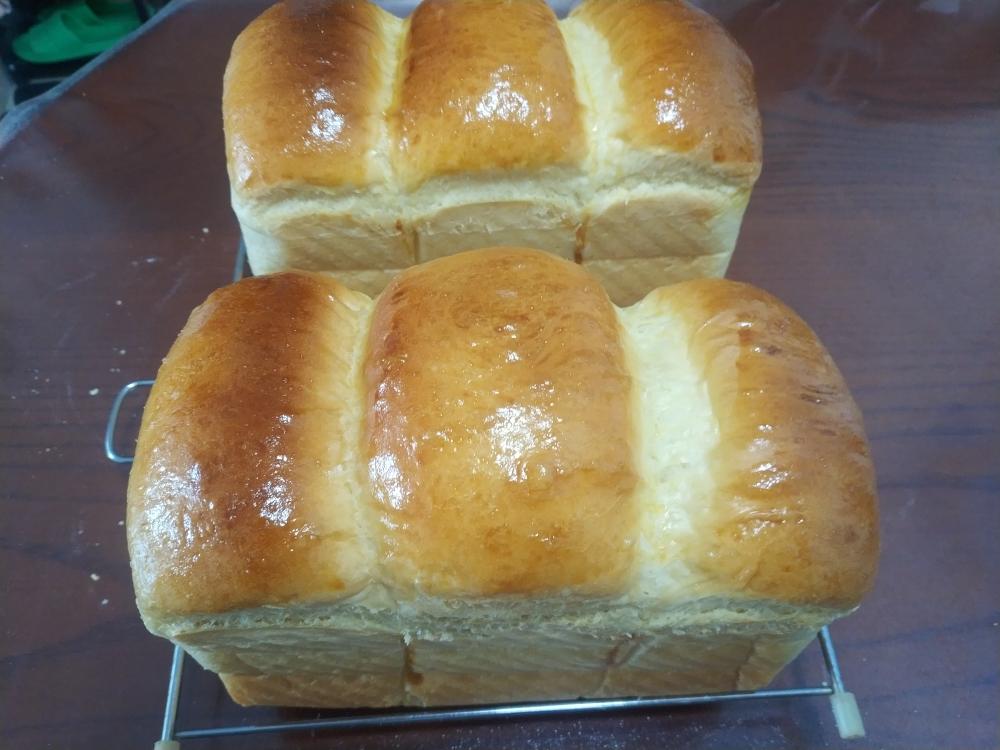 北海道牛奶吐司（100%冷藏中种法）