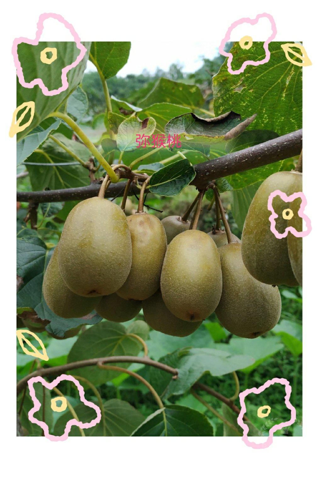 生活小点滴
