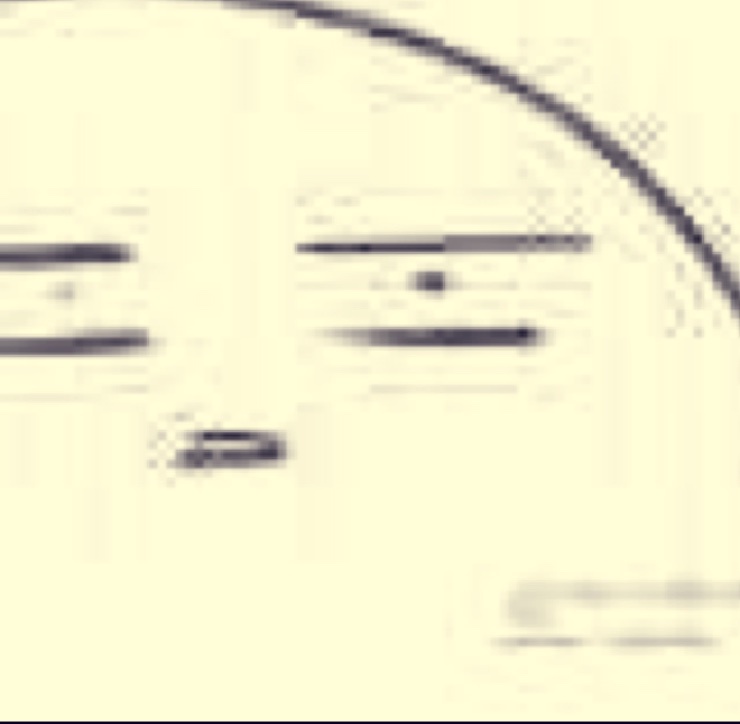 蛋黄酱泡面