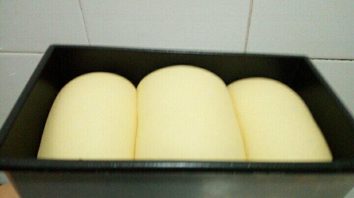 记录自己一路走来的面包