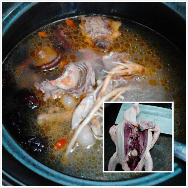 红枣枸杞炖白鸽