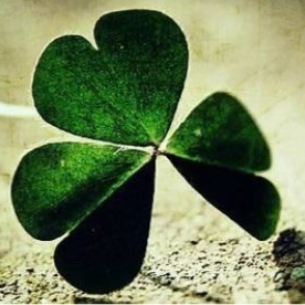 手机用户6800_3vxq