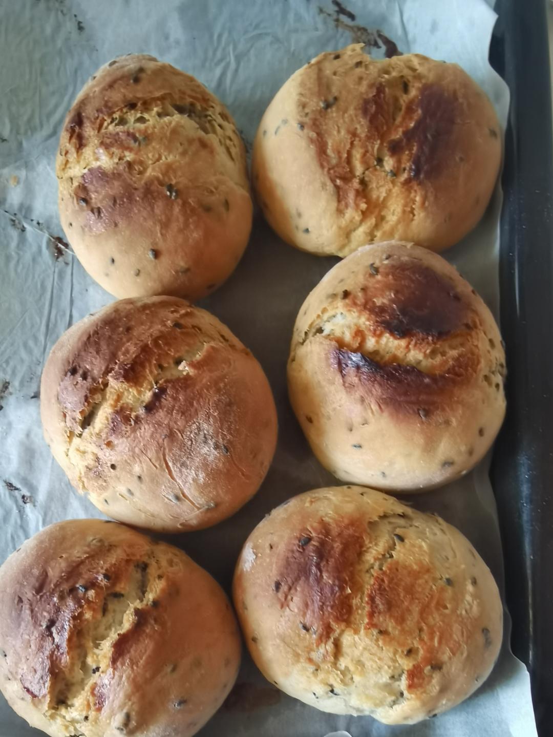 普通面粉也可以做的免揉小法包（不用高筋粉无糖小白都能成功）