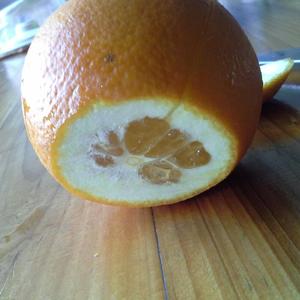 巧切脐橙【三刀解决】的做法 步骤4