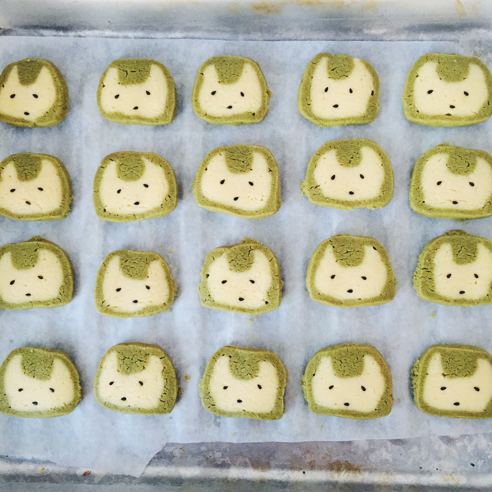 抹茶兔兔曲奇（比熊猫简单！超详细实物图+超良心手绘图）