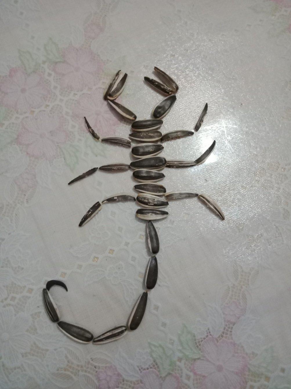 希望14zx做的瓜子皮拼画