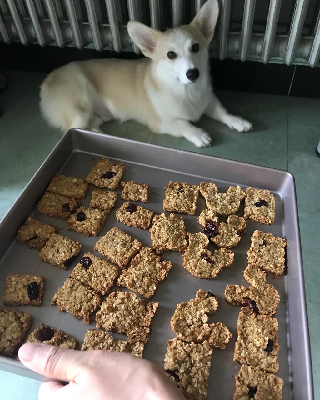 早餐燕麦饼