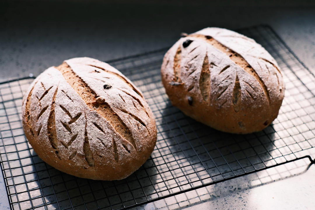 自由欧包（波兰种）