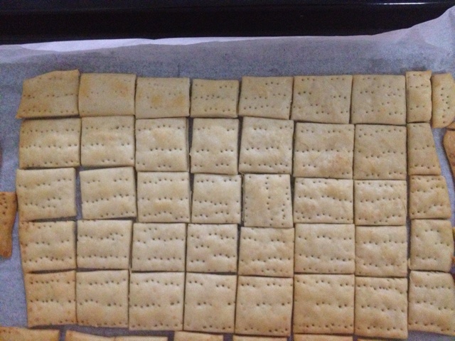 高钙奶盐苏打饼干