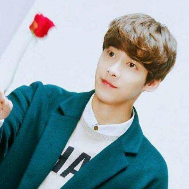 甘蔗爱蜂蜜的厨房