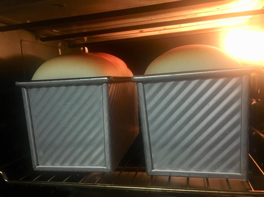 玉米油版一次性发酵吐司