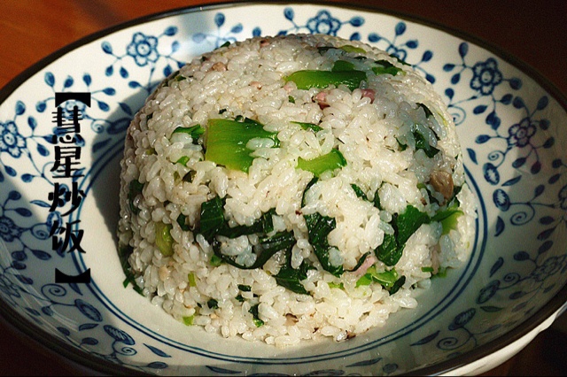 彗星炒饭的全部作品