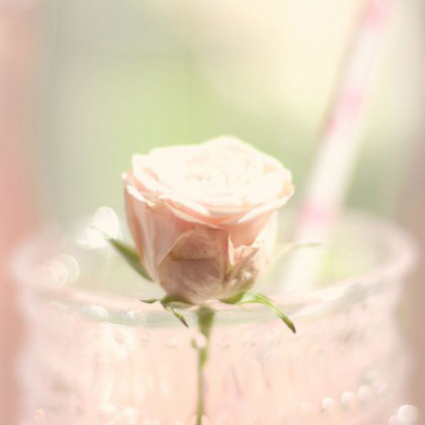 Detoxwater