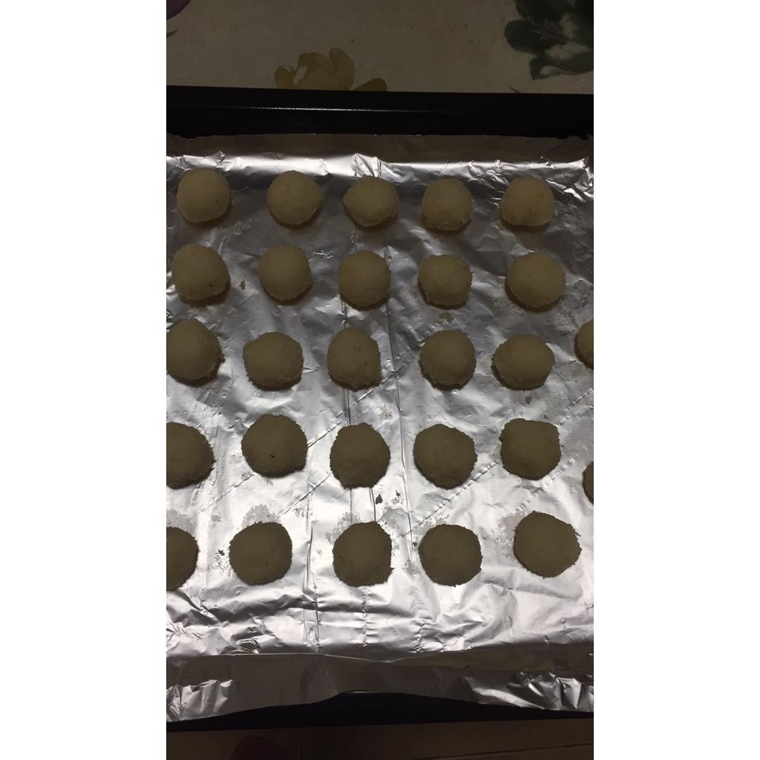 蛋白椰丝球