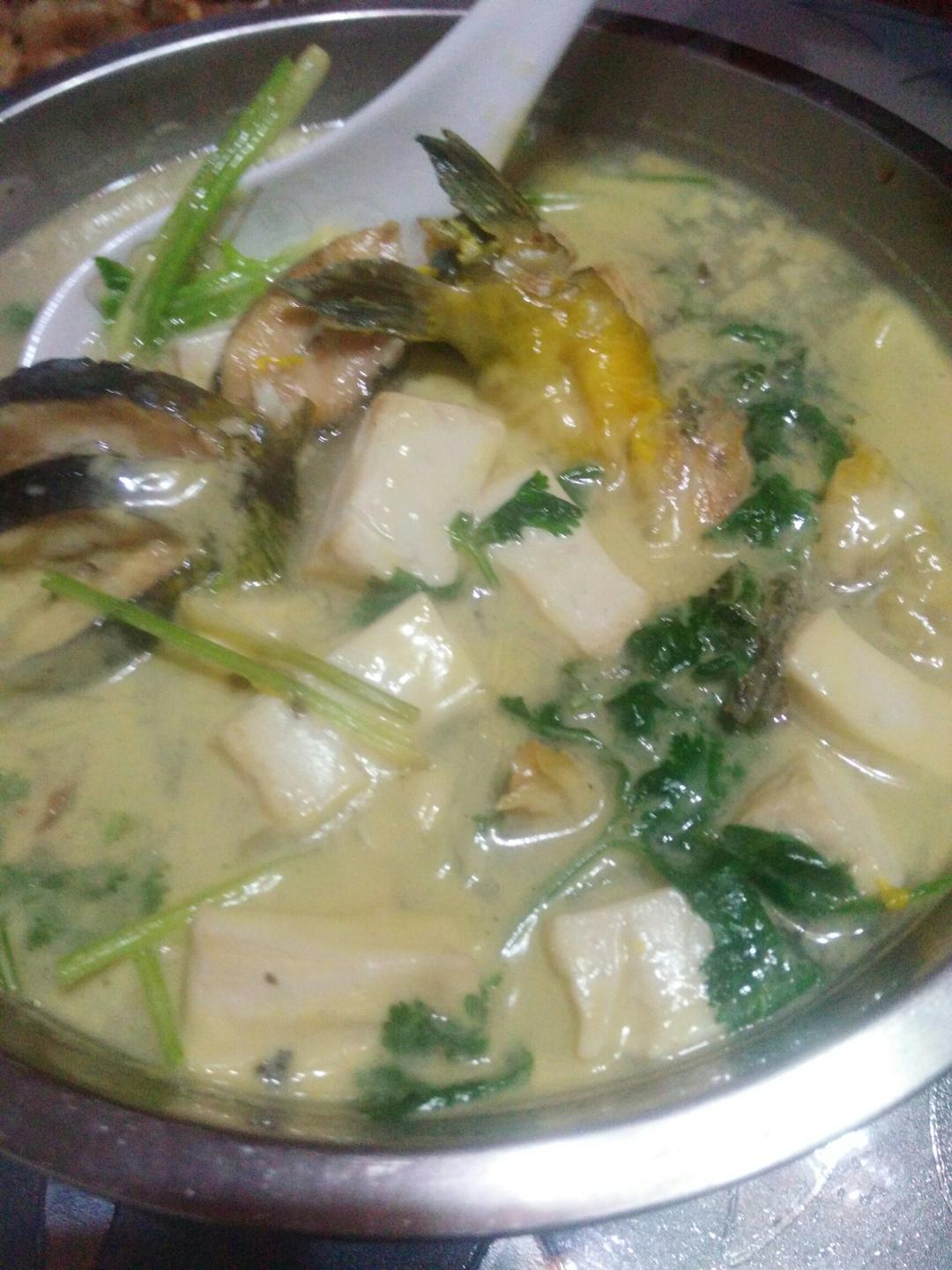 黄骨鱼豆腐汤