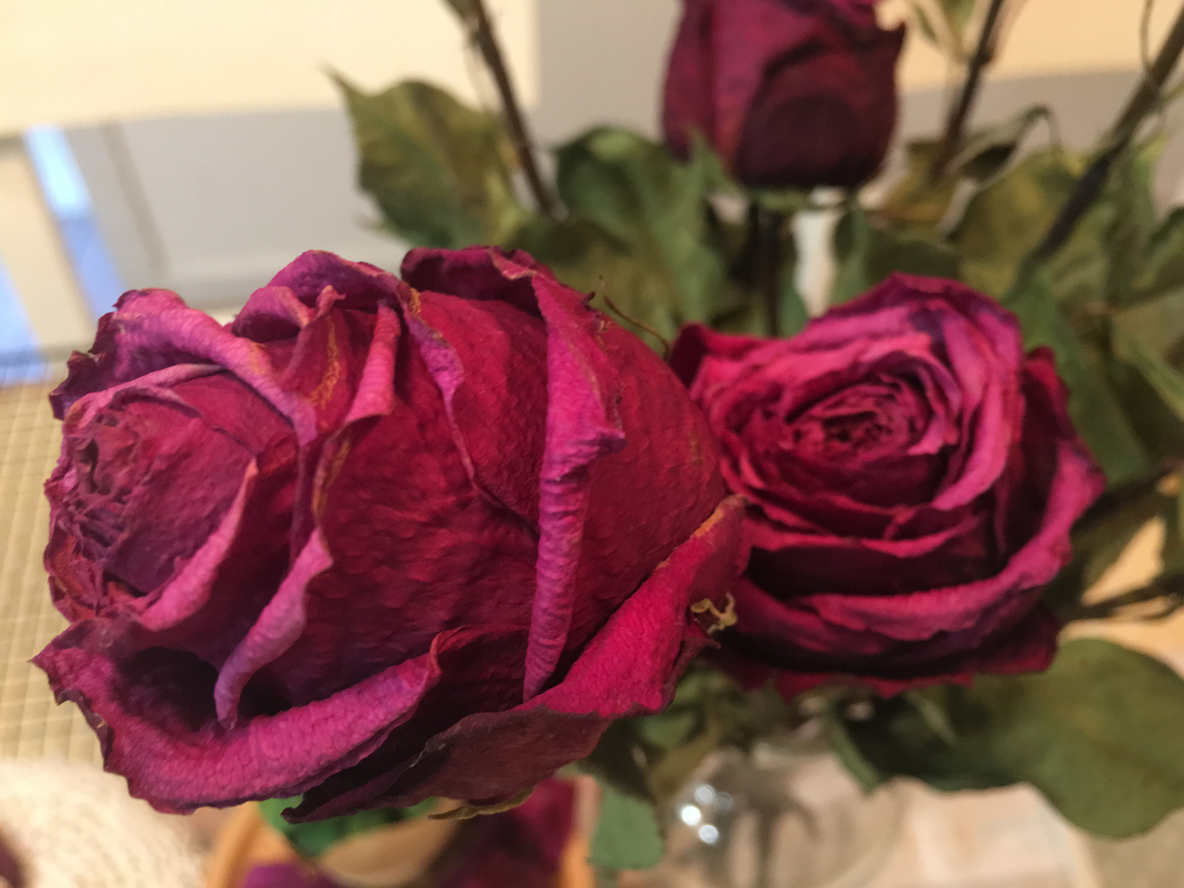 让你爱的玫瑰陪你更久～自制干玫瑰花束其实很简单的做法 步骤8