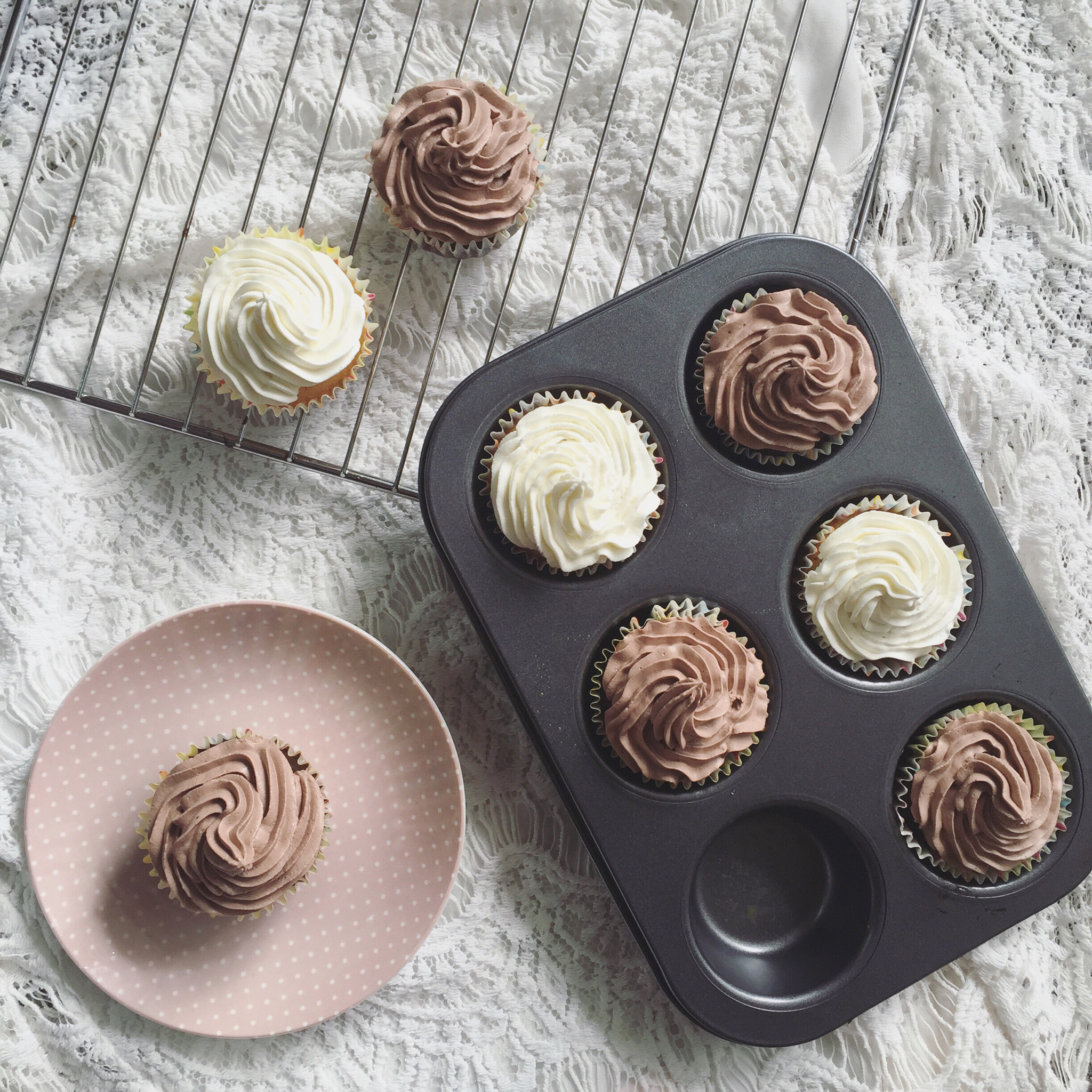 cupcake/纸杯蛋糕 原味&可可味