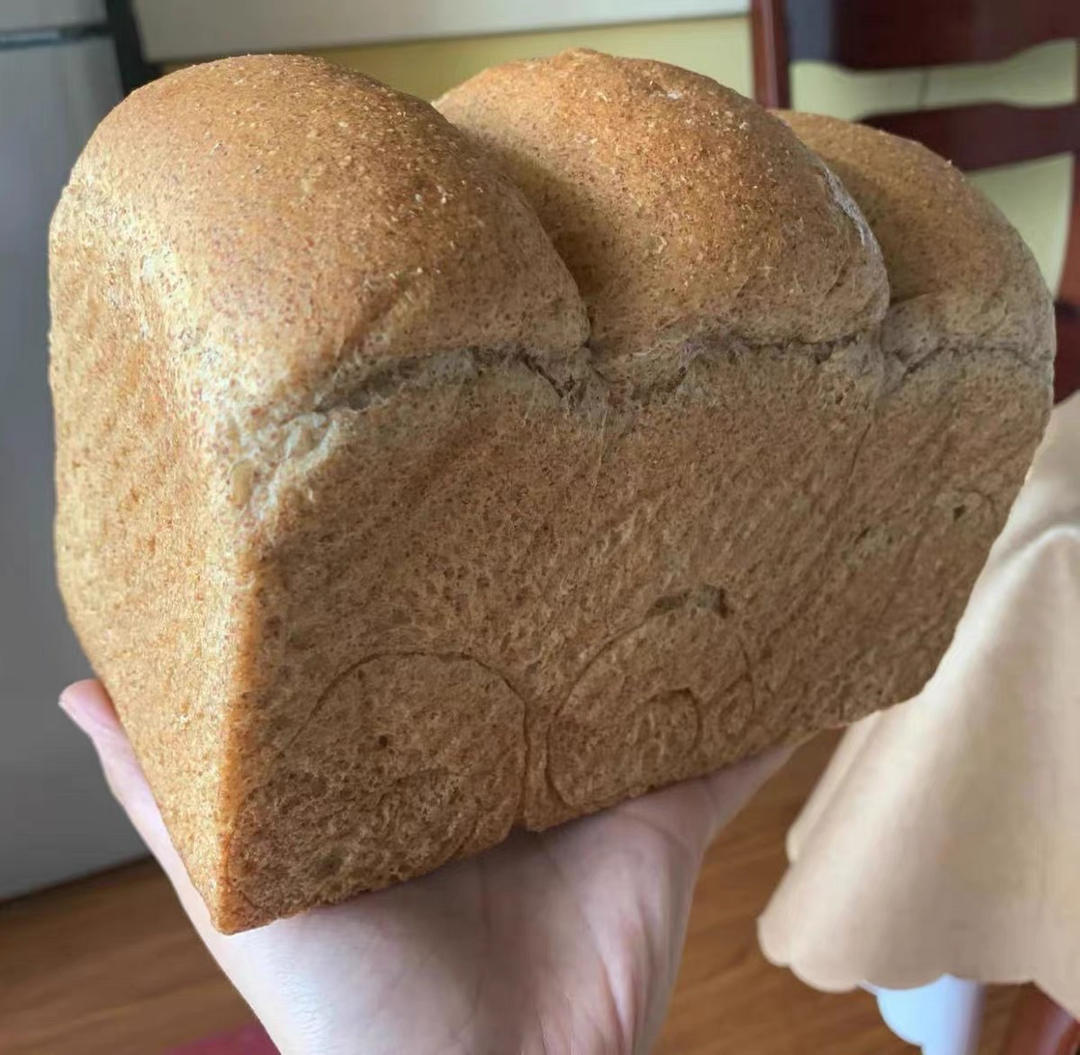 波兰种椰香吐司｜柔软拉丝巨好吃❗️❗️❗️